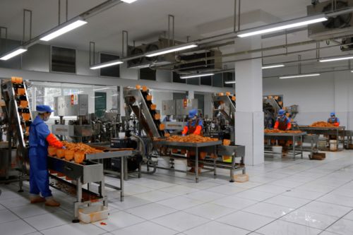綏陽 綠色食品加工風生水起 與合農業借風揚帆起航