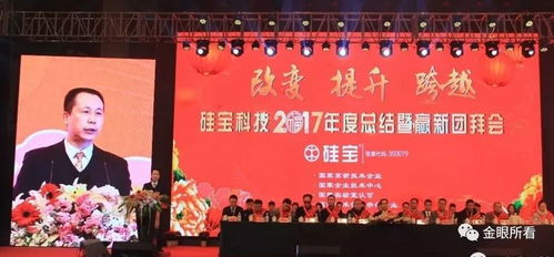創(chuàng)新驅(qū)動領(lǐng)跑行業(yè) 硅寶科技9年連增產(chǎn)值突破9億元
